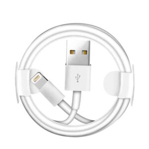 iPhone Lightning to USB Cable